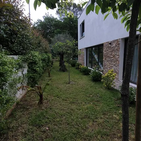 Avec Piscine Villa